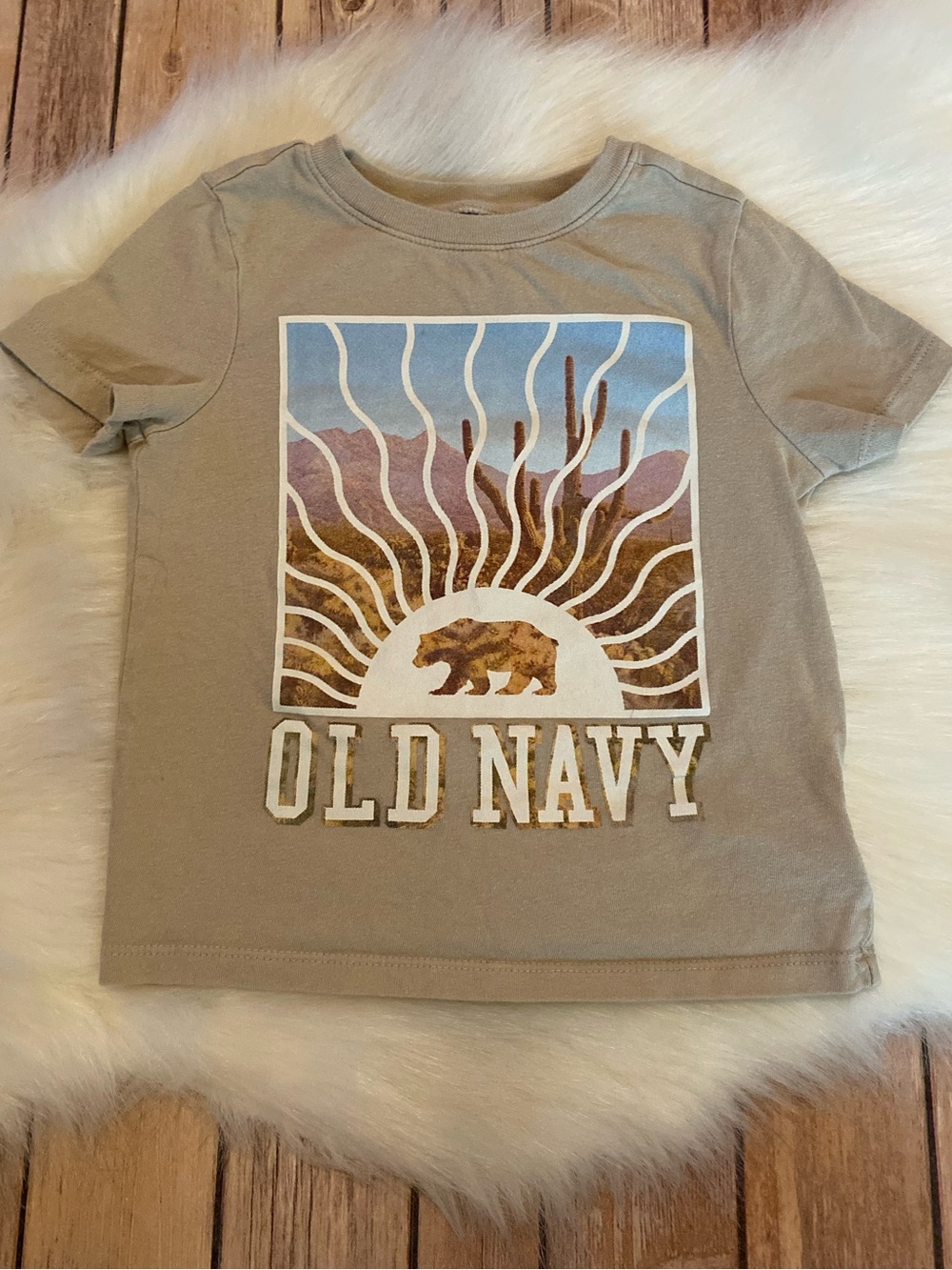 Boy’s 3T Old Navy Desert Logo Tee Tshirt
